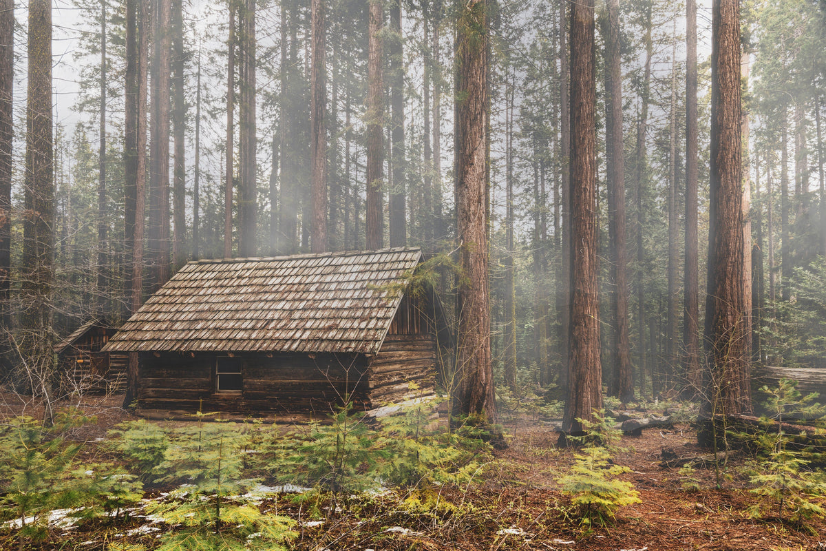Foggy Forest Cabin Triptych Canvas Print, Misty Woodland Wall Art — product image 8