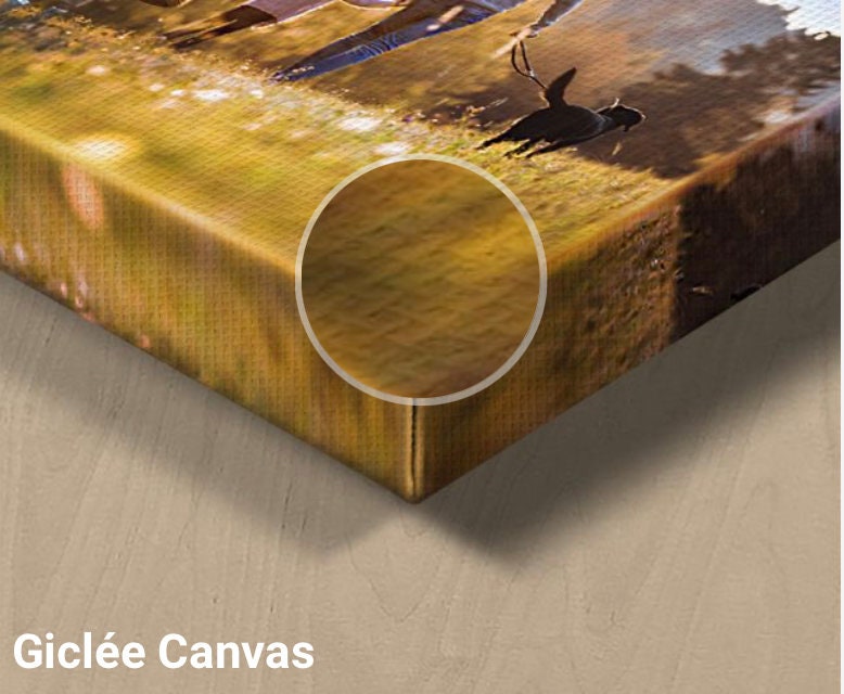 Wild Turkey Multi-Panel Canvas Print, Wildlife Photography Wall Art — product image 6