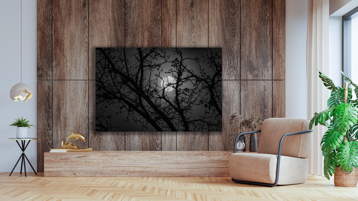 Full Moon Forest Wall Art, Black and White Night Photo, Canvas, Metal, Acrylic or Poster — printed photography wall art