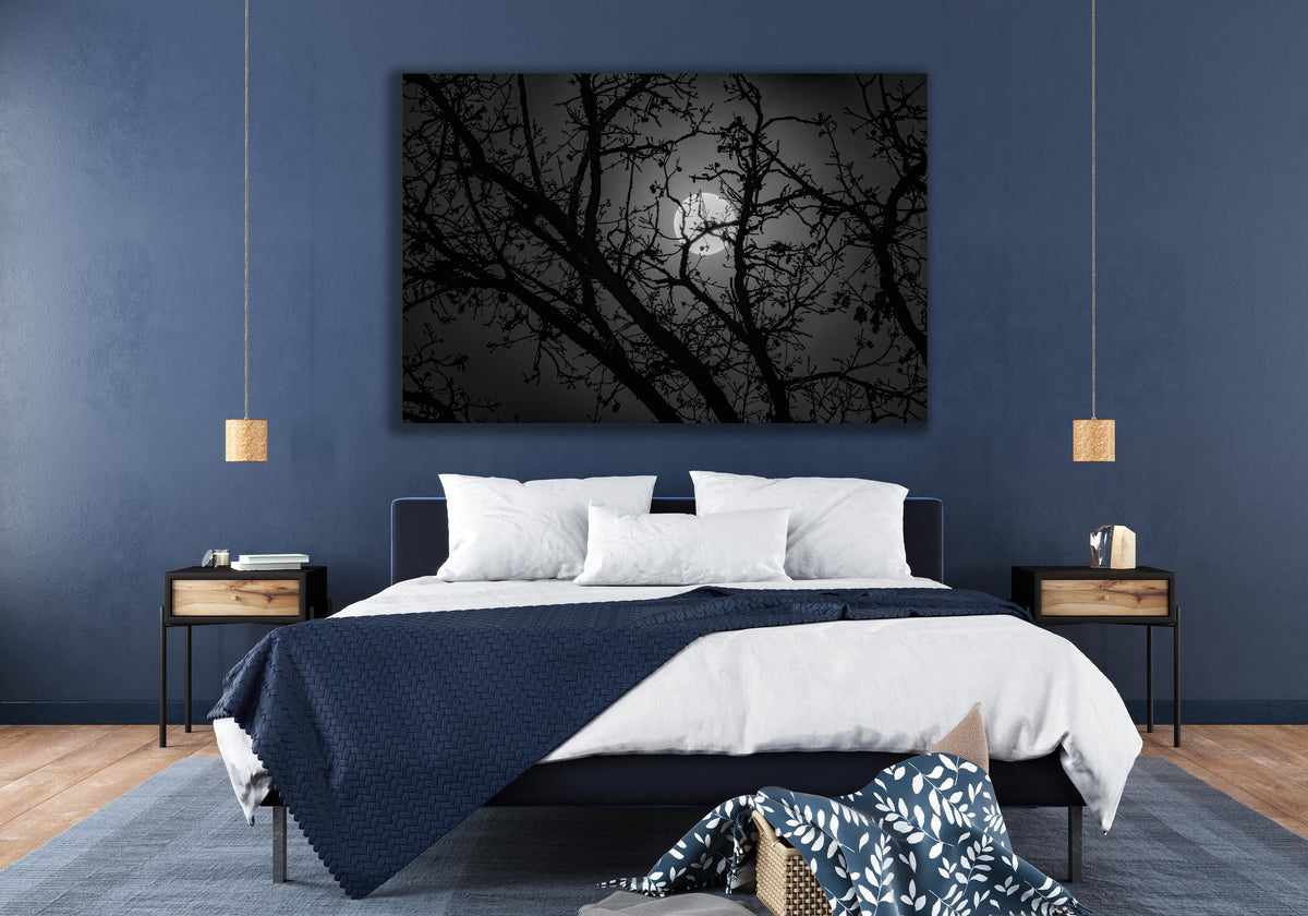 Full Moon Forest Wall Art, Black and White Night Photo, Canvas, Metal, Acrylic or Poster — product image 3