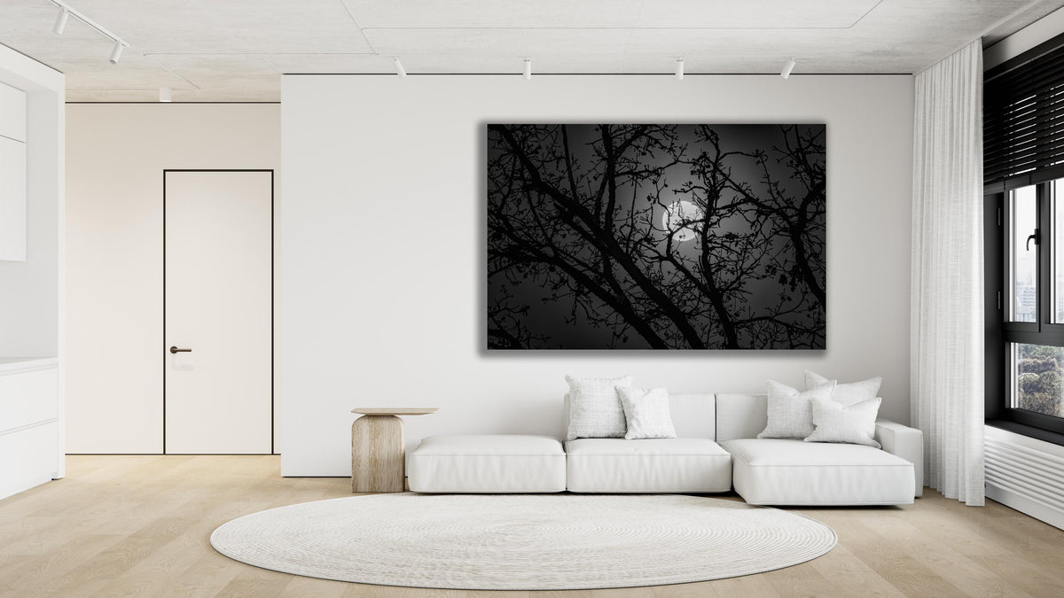 Full Moon Forest Wall Art, Black and White Night Photo, Canvas, Metal, Acrylic or Poster — product image 4