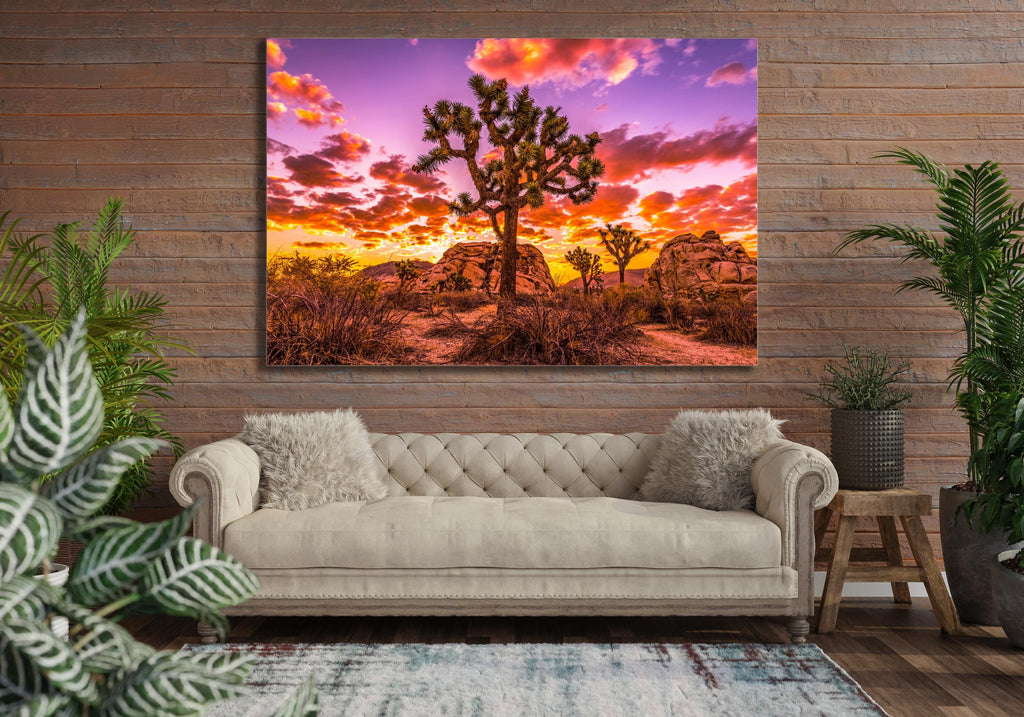 Joshua Tree Sunset Wall Art, California Desert Photography, Canvas Metal Acrylic or Poster — product image 2