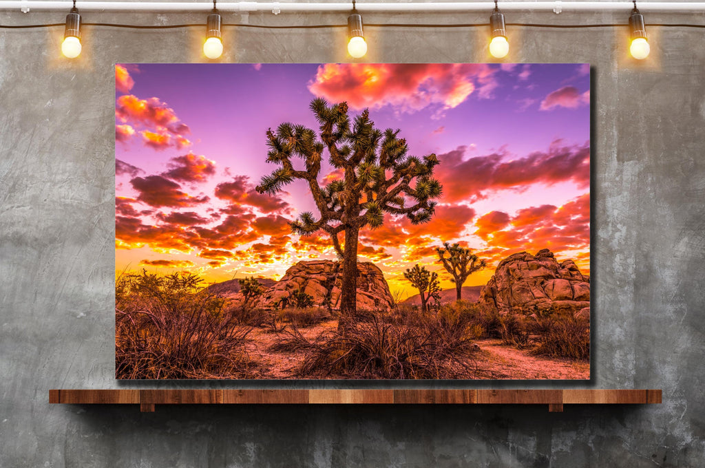 Joshua Tree Sunset Wall Art, California Desert Photography, Canvas Metal Acrylic or Poster — product image 5