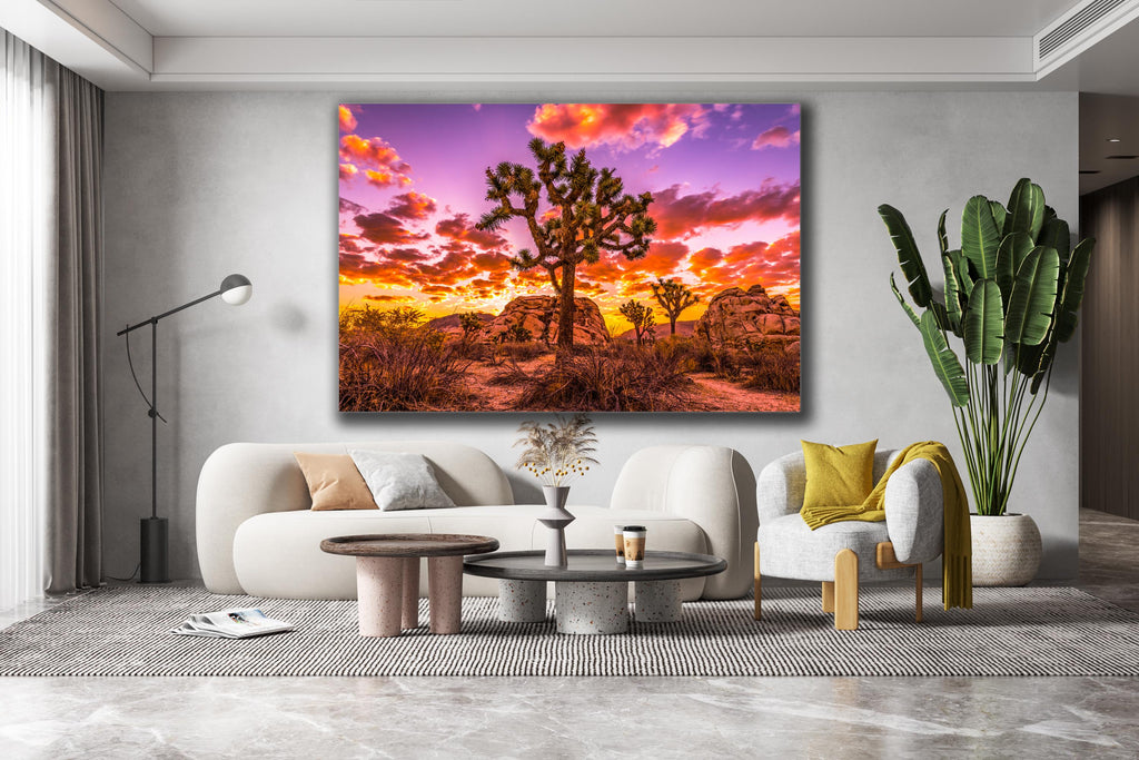 Joshua Tree Sunset Wall Art, California Desert Photography, Canvas Metal Acrylic or Poster — product image 3