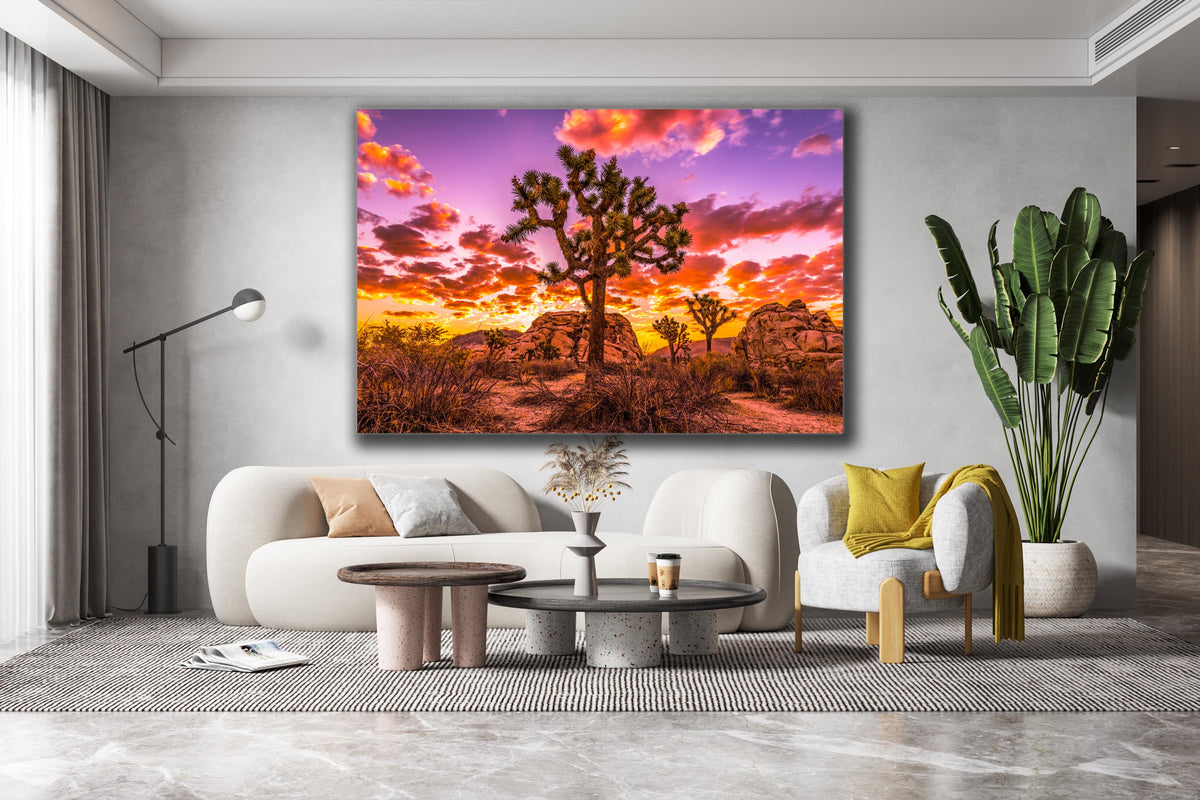 Joshua Tree Sunset Wall Art, California Desert Photography, Canvas Metal Acrylic or Poster — product image 3