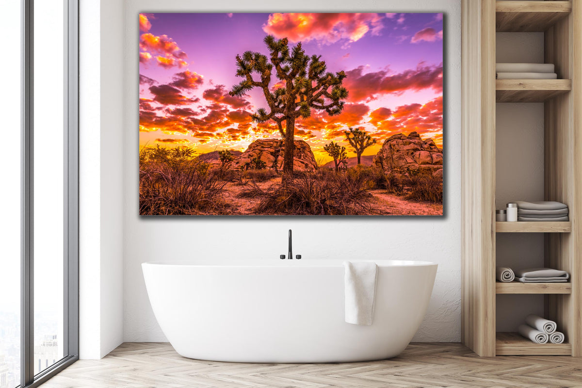 Joshua Tree Sunset Wall Art, California Desert Photography, Canvas Metal Acrylic or Poster — product image 4