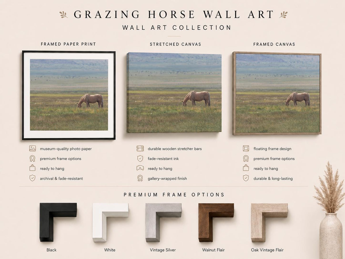Three horse photography wall art options shown together: framed paper print with white mat, stretched canvas, and framed canvas, plus black, white, silver, walnut, and oak frame finishes.