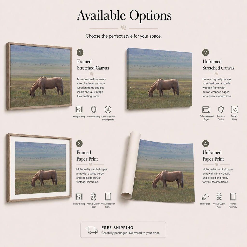 May include: An informational graphic titled Available Options displaying four product choices: 1. Framed Stretched Canvas in an Oak Vintage Flair floating frame, 2. Unframed Stretched Canvas, 3. Framed Paper Print, and 4. Unframed Paper Print.