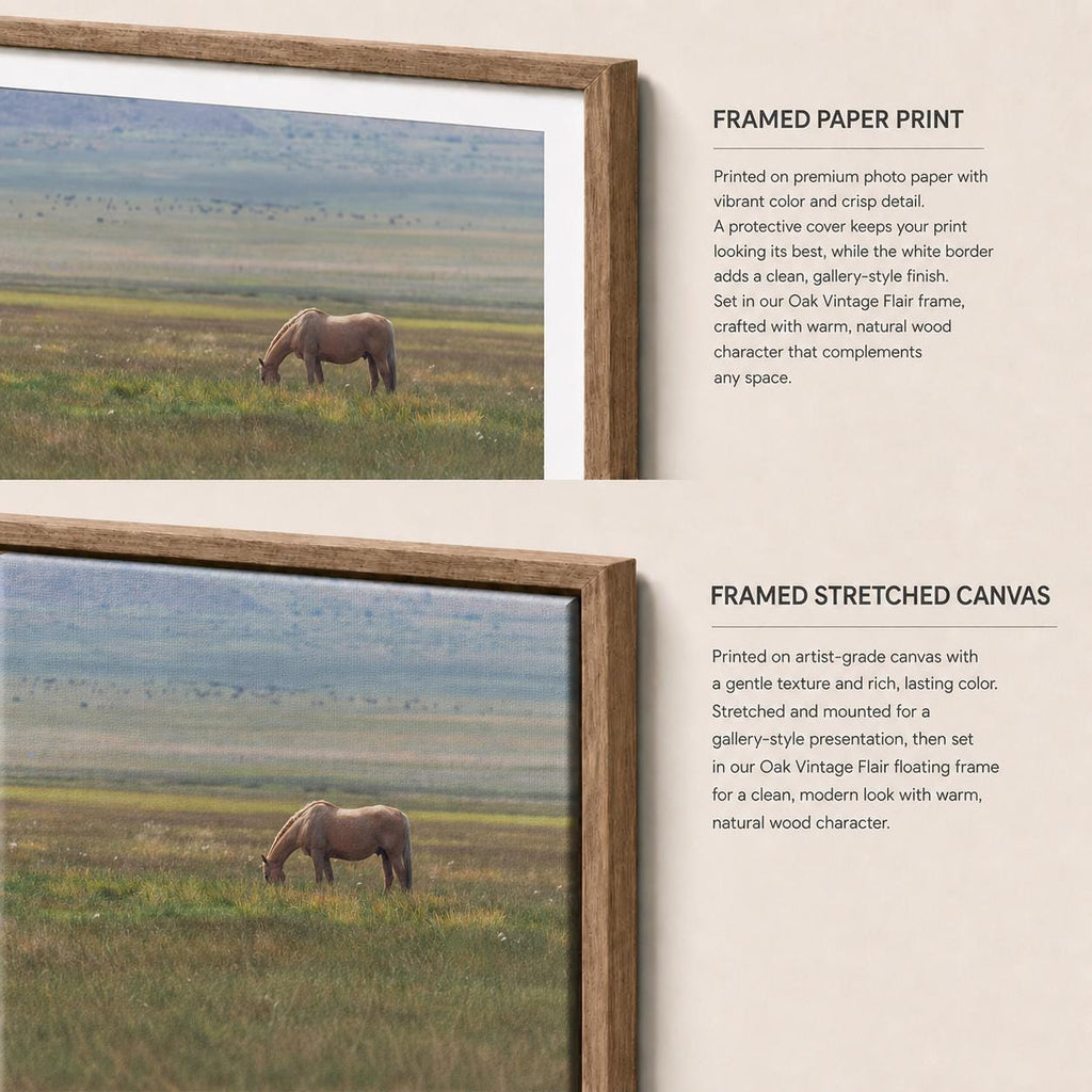 May include: Two framed wall art options featuring a horse grazing in a grassy field. The top image is a framed paper print with a white border, and the bottom image is a stretched canvas. Both are set in a light brown oak wood frame.