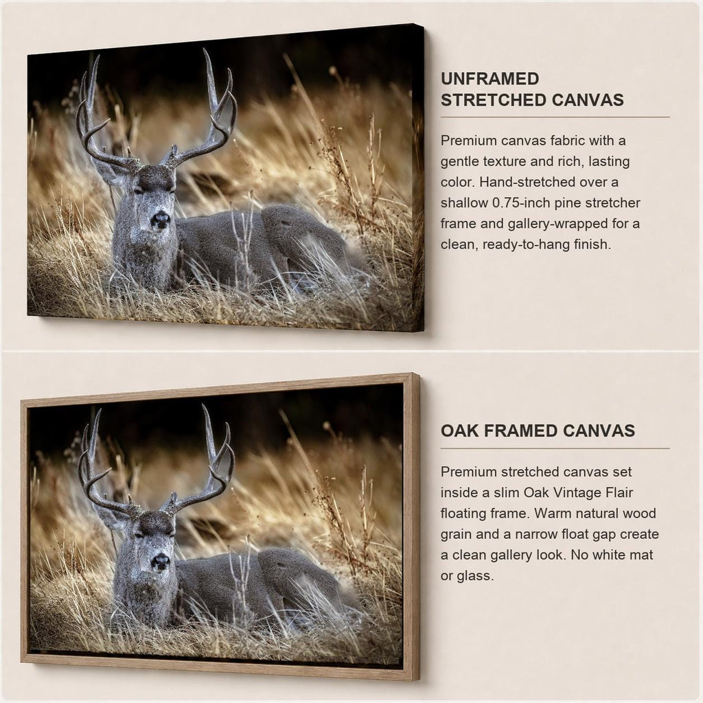 Deer Wall Art, Buck Wildlife Photography Canvas, Rustic Cabin Framed or Unframed Canvas