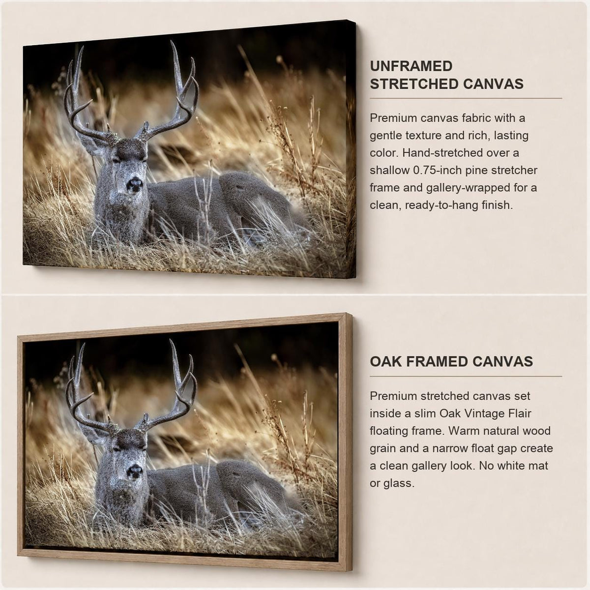 Deer Wall Art, Buck Wildlife Photography Canvas, Rustic Cabin Framed or Unframed Canvas