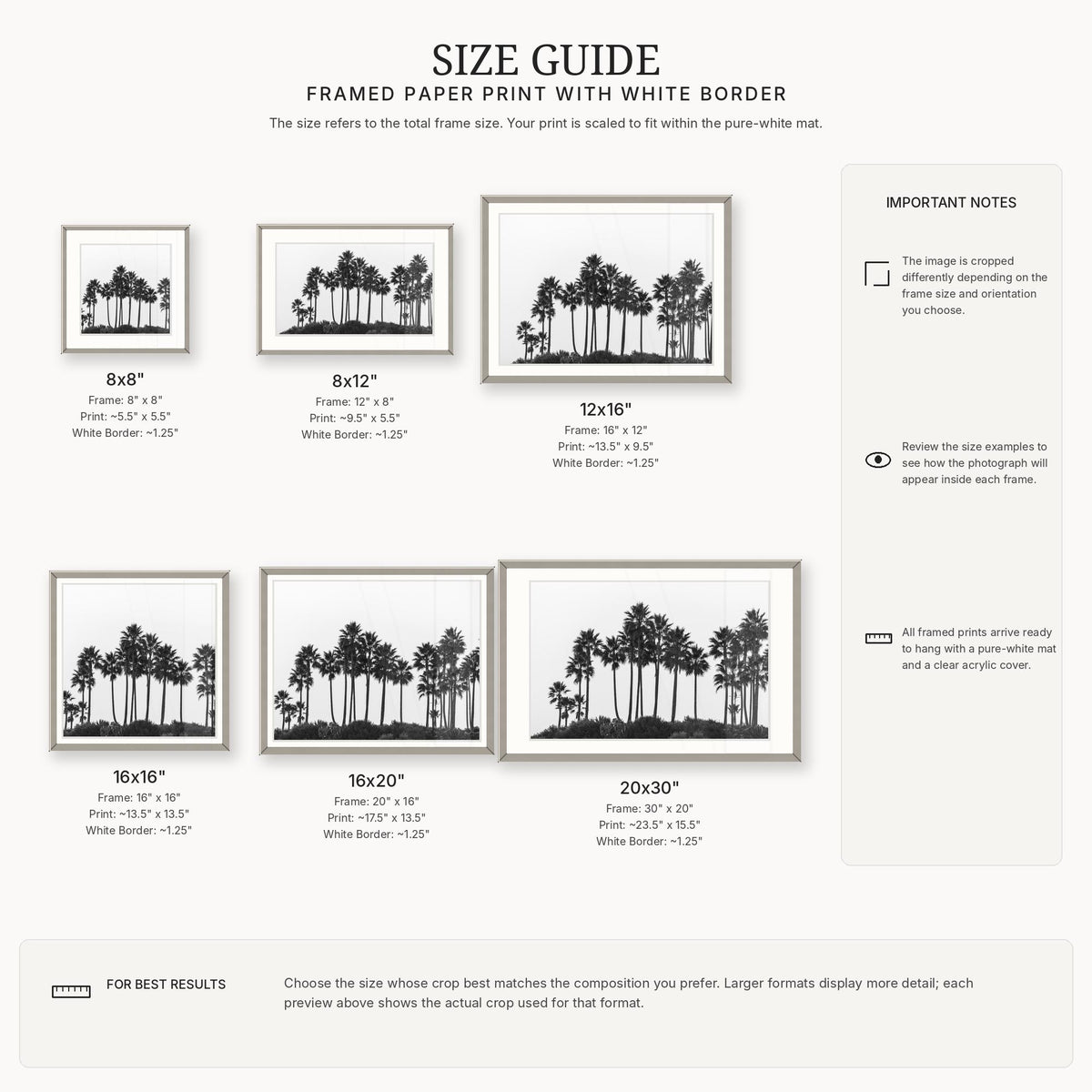 Framed Black and White Palm Tree Print, California Photography