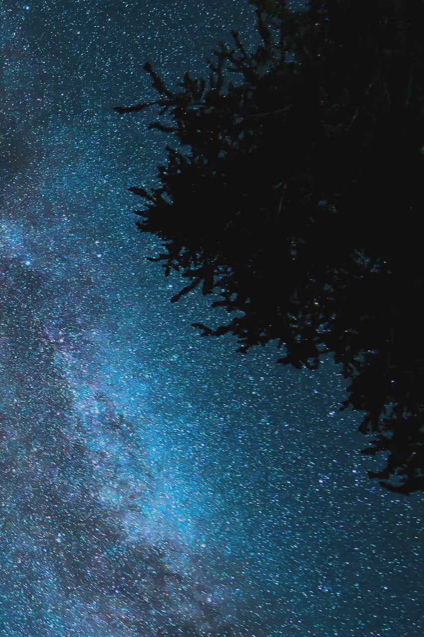 Milky Way Landscape Wall Art, Starry Night Photo, Canvas Metal Acrylic or Poster Print